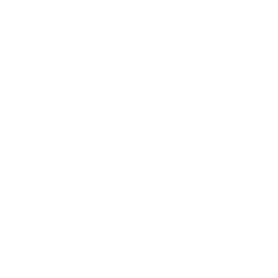 Apple Inc.