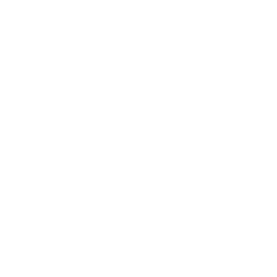 Visa Inc.